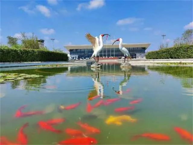1633913656137150.jpg 微信图片_20211011085329.jpg