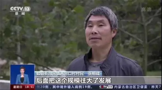 1634539067664281.jpg 央视8.jpg