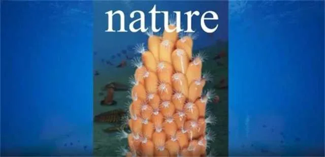 1635469436126840.jpg 化石3.jpg