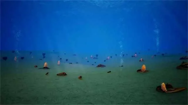 1635469471242742.jpg 化石4.jpg