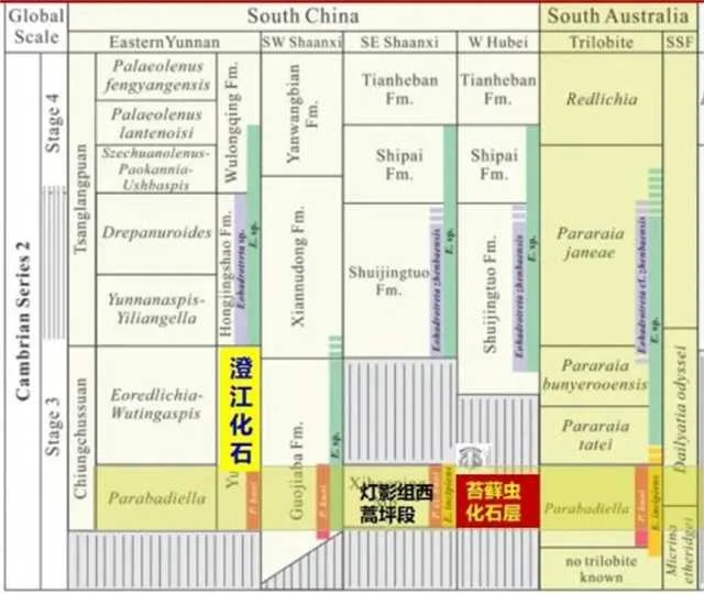 1635469511103913.jpg 化石5.jpg