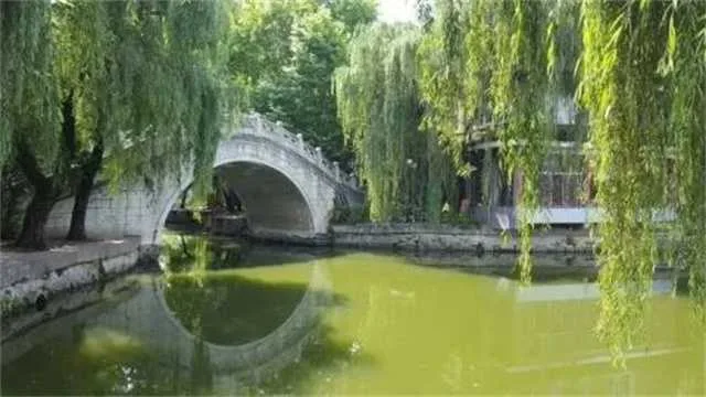 1635988036325191.jpg 莲花11.jpg