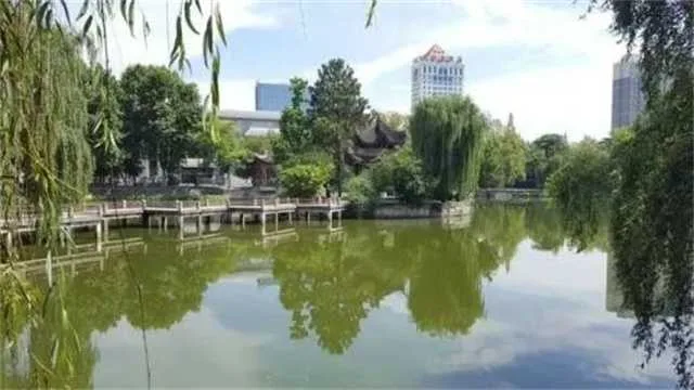 1635988043607049.jpg 莲花12.jpg