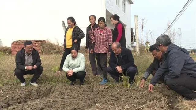 城固县引导群众抢农时抗霖保秋种