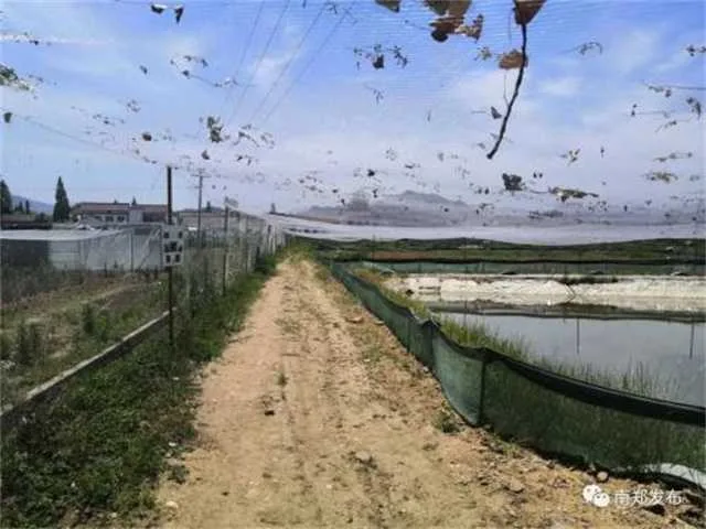 1636680326119038.jpg 农业3.jpg