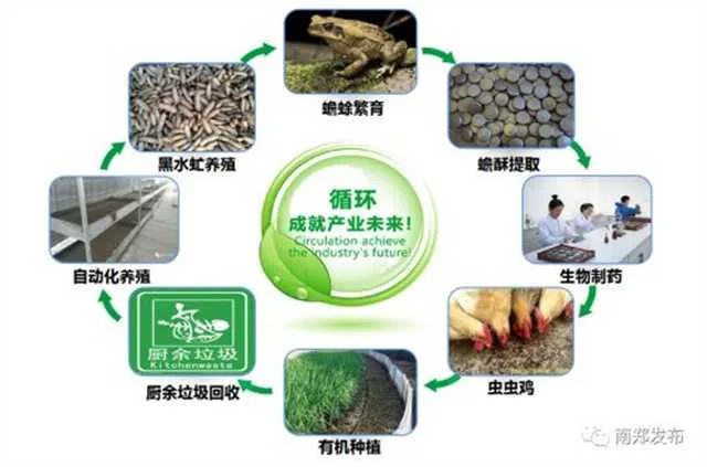 1636680341923246.jpg 农业5.jpg