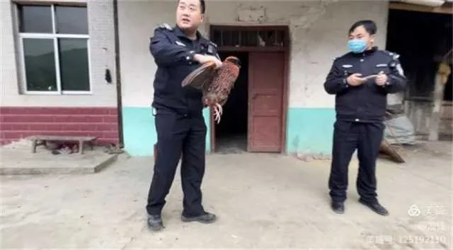 1637025983103160.jpg 镇巴公安.jpg