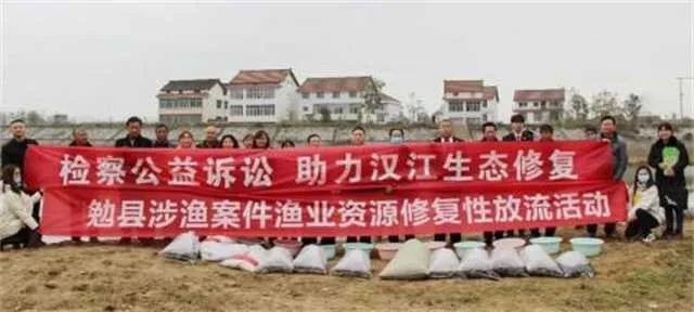 1637291446113784.jpg 鱼苗.jpg