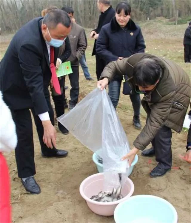 1637291465678051.jpg 鱼苗2.jpg