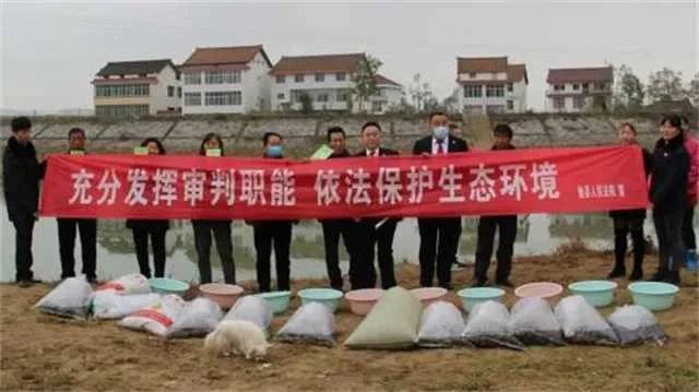 1637291474168899.jpg 鱼苗3.jpg