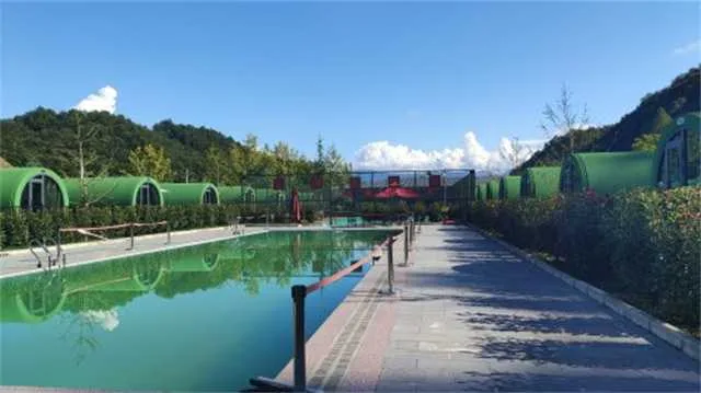 1639444539114959.jpg 茶7.jpg