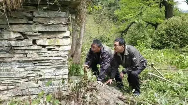 1650590241513455.jpg 12.jpg