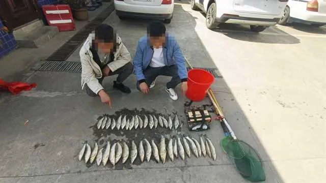 还敢电鱼吗？2男子禁渔区电捕鱼被一“网”打尽