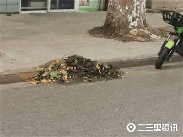 1659489363855213.jpg 6.jpg
