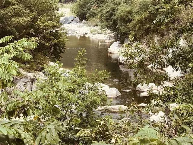 1660701738587900.jpg 3.jpg