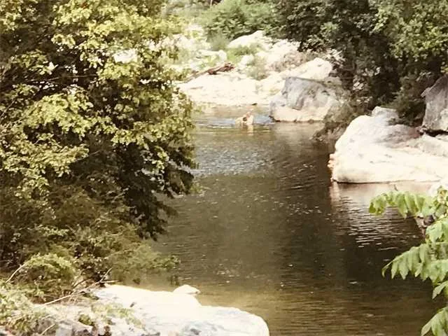1660701769748666.jpg 6.jpg