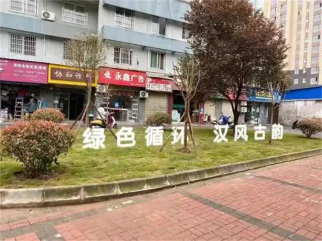 1660874752988440.jpg 1.jpg