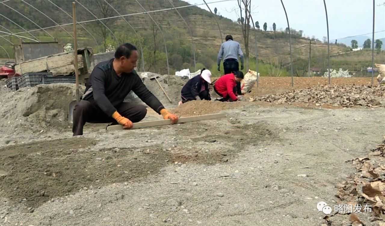 徐家坪：再出发！奔向幸福新生活