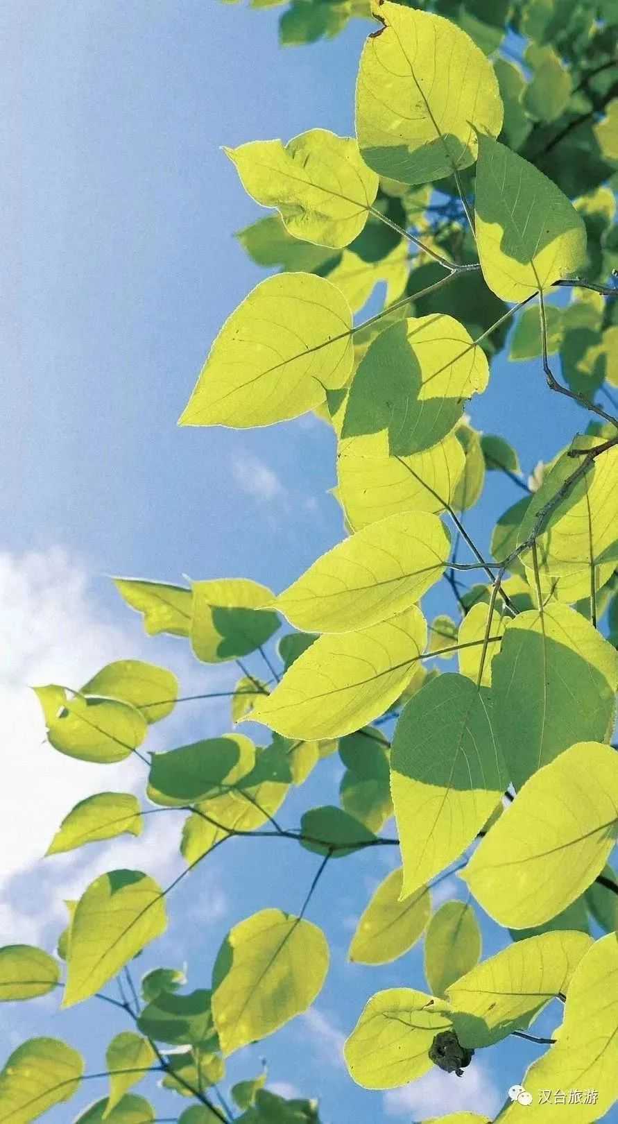 2022汉台美景合集，今天带你一次看完！