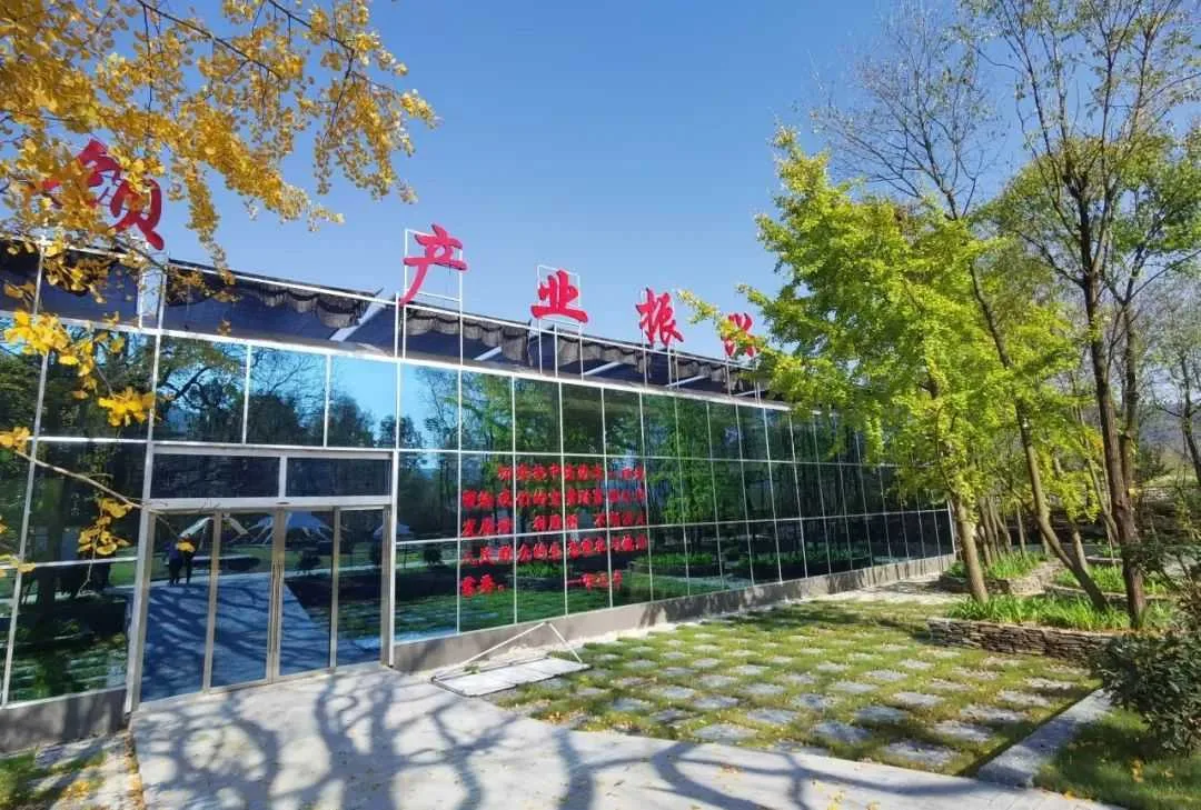 喜讯!汉中略阳徐家坪景区成功创建国家AAA级景区