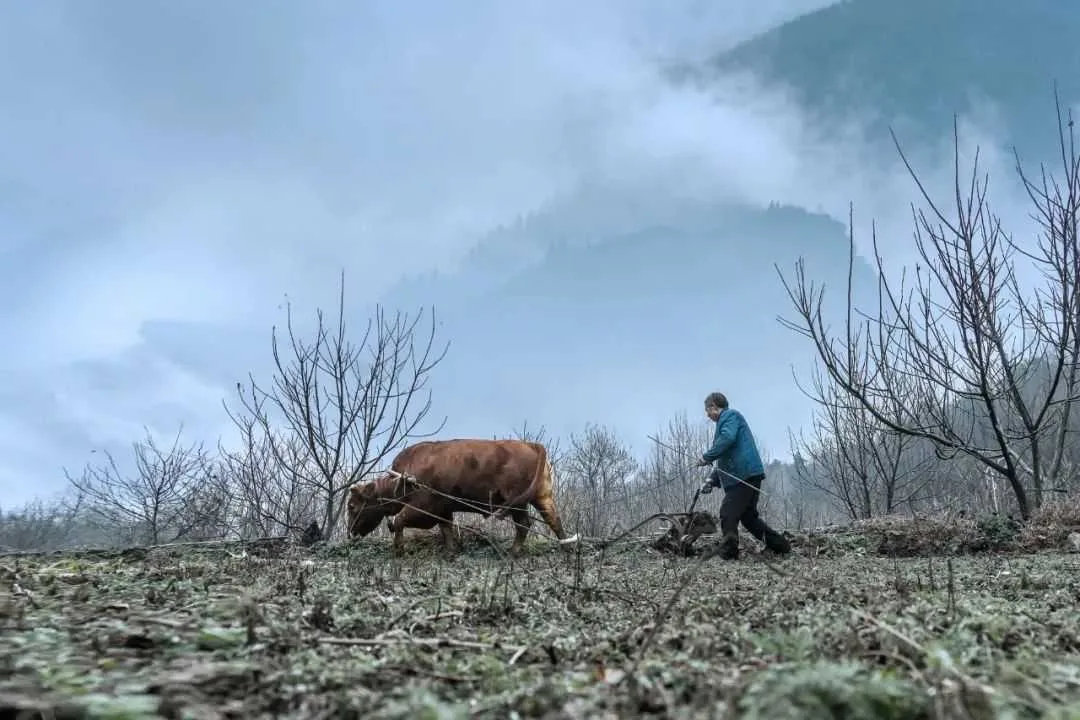 在汉中,这定是您向往的冬日生活!