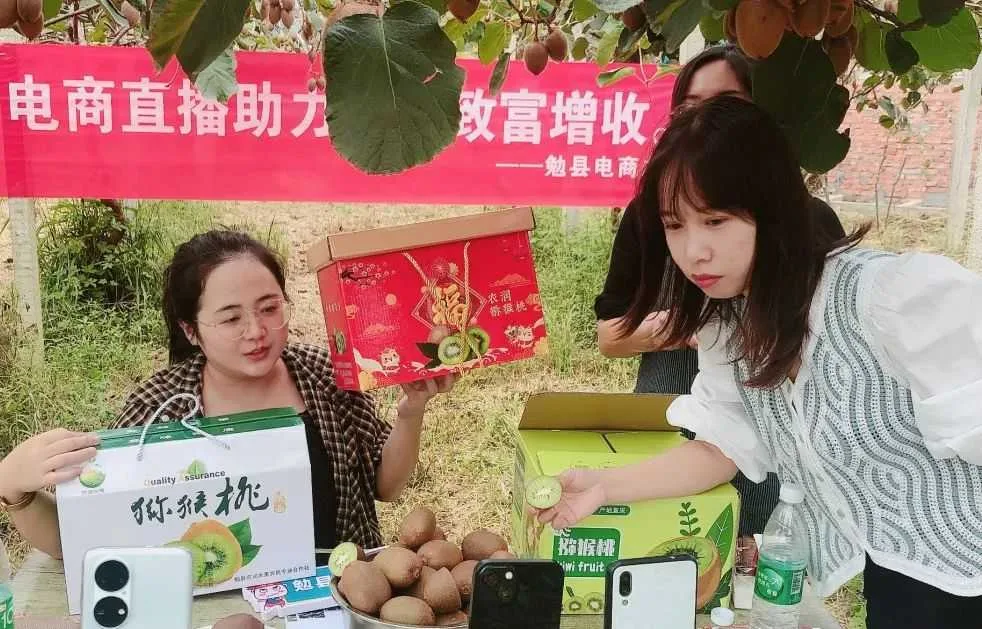 勉县:探索县域电商发展新模式 为乡村振兴注入新动力