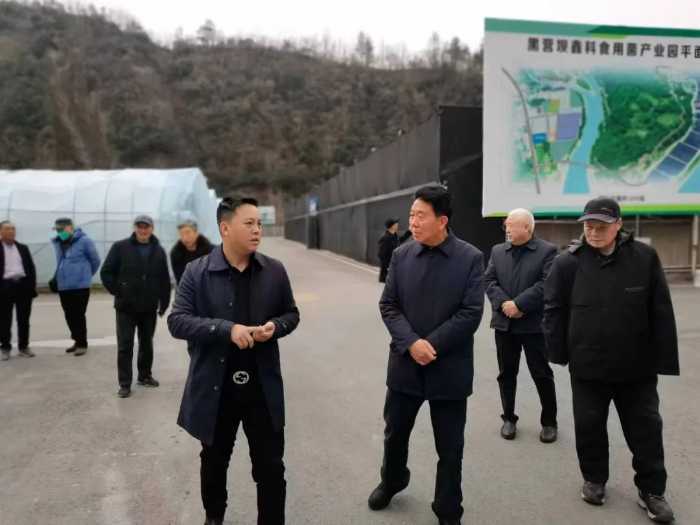 汉中市老科协会长徐登奎一行考察留坝县中药材食用菌等产业