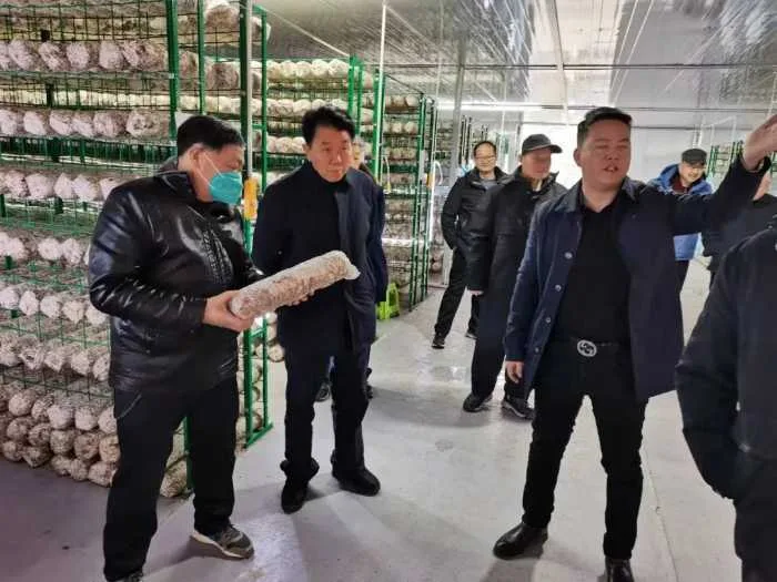 汉中市老科协会长徐登奎一行考察留坝县中药材食用菌等产业