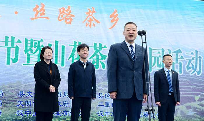 汉中城固县17万亩茶园今日开园采摘