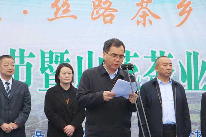 汉中城固县17万亩茶园今日开园采摘