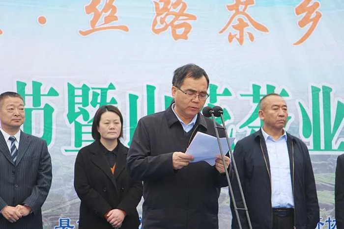 汉中城固县17万亩茶园今日开园采摘
