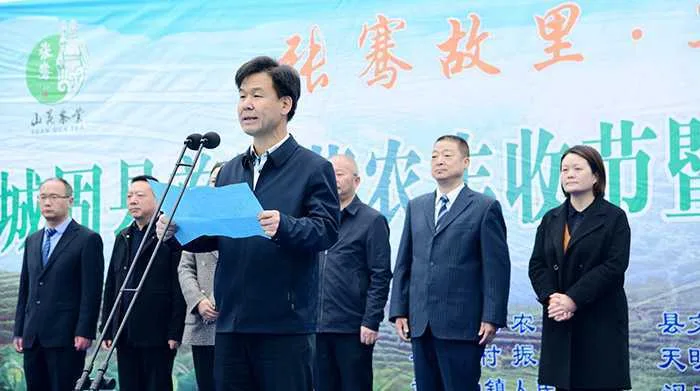汉中城固县17万亩茶园今日开园采摘