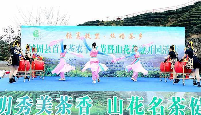 汉中城固县17万亩茶园今日开园采摘