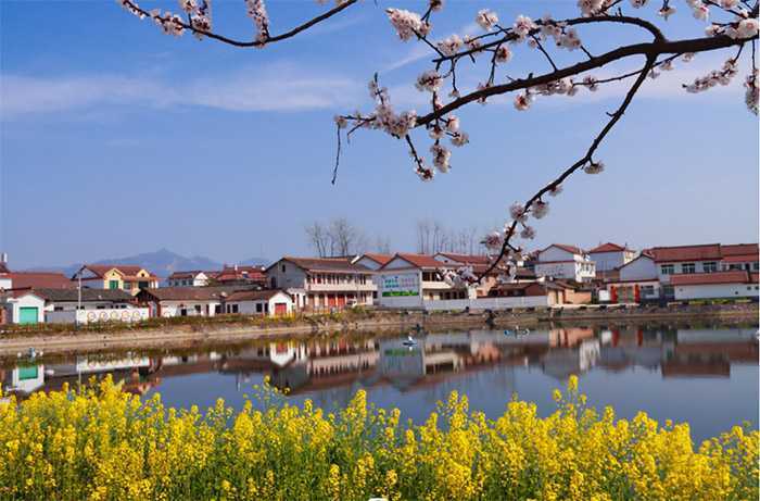 2023中国最美油菜花海汉中旅游文化节城固分会场暨迷你马拉松赛正式启动