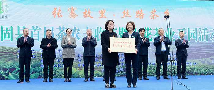 汉中城固县17万亩茶园今日开园采摘
