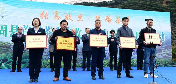 汉中城固县17万亩茶园今日开园采摘