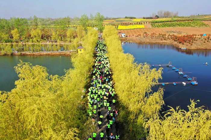 2023中国最美油菜花海汉中旅游文化节城固分会场暨迷你马拉松赛正式启动