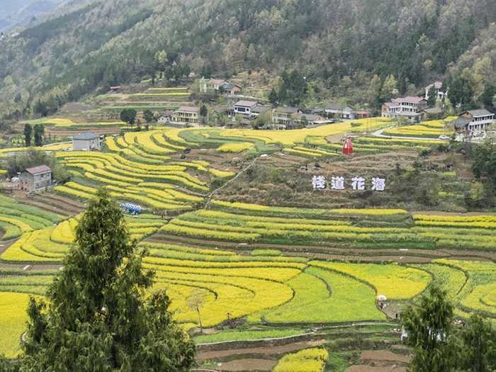 陕西移动汉中宁强分公司5G技术助力智慧文旅新突破
