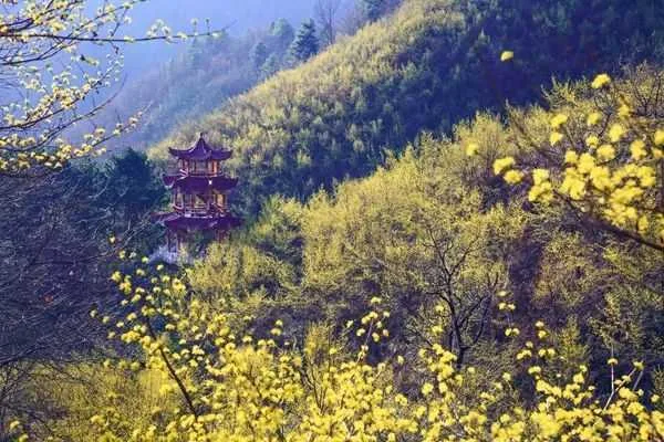 全国精品!汉中入选