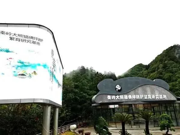 全国精品!汉中入选