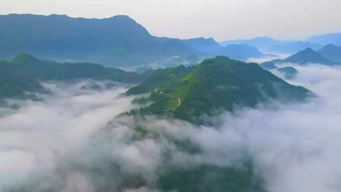 楮河茗饮赋