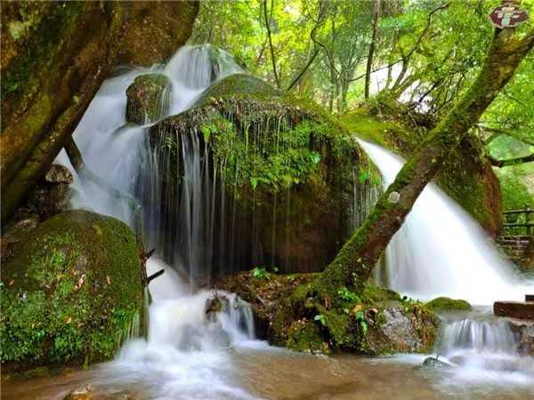 李振峰||书卷开合任天真——周燕新著《表情》阅读印象