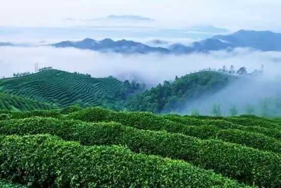 李振峰||书卷开合任天真——周燕新著《表情》阅读印象