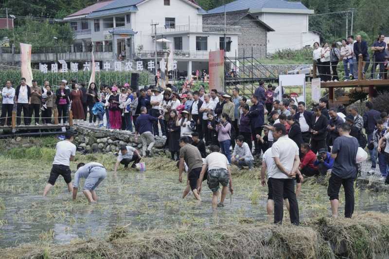 庆丰收，促和美 | 略阳县第六届中国农民丰收节开幕
