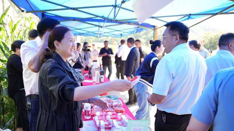 庆丰收，促和美 | 略阳县第六届中国农民丰收节开幕
