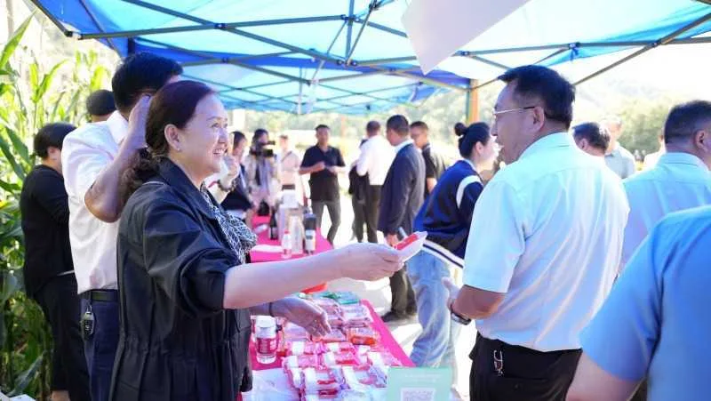 庆丰收,促和美 | 略阳县第六届中国农民丰收节开幕