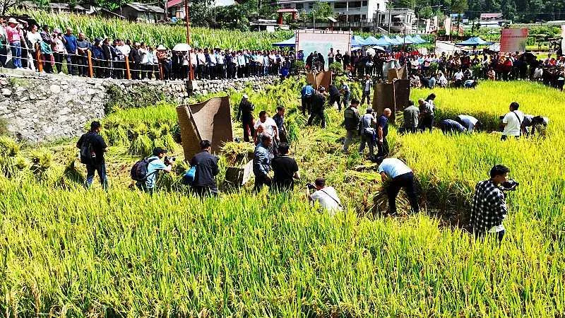 庆丰收,促和美|略阳县第六届中国农民丰收节开幕