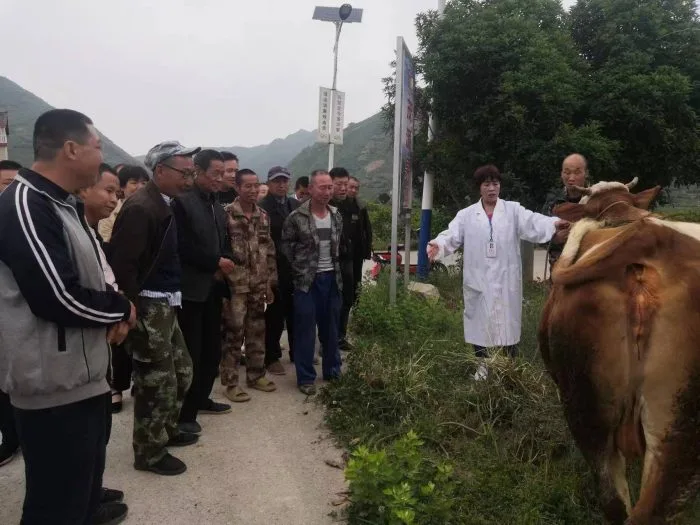 城固残联多措并举精准施策,稳步推进残疾人事业发展
