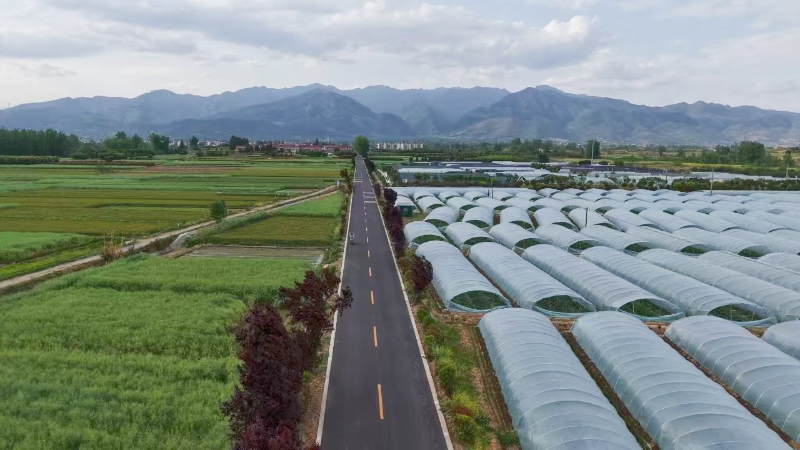 汉台区武乡至姜坝公路改建工程建成通车