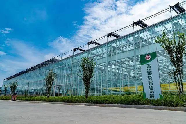 养鱼不换水、种菜不施肥!汉台城郊智慧农旅融合示范园